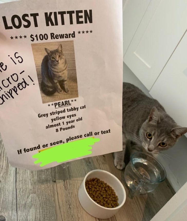 62a4fb52708740243d9467fb82