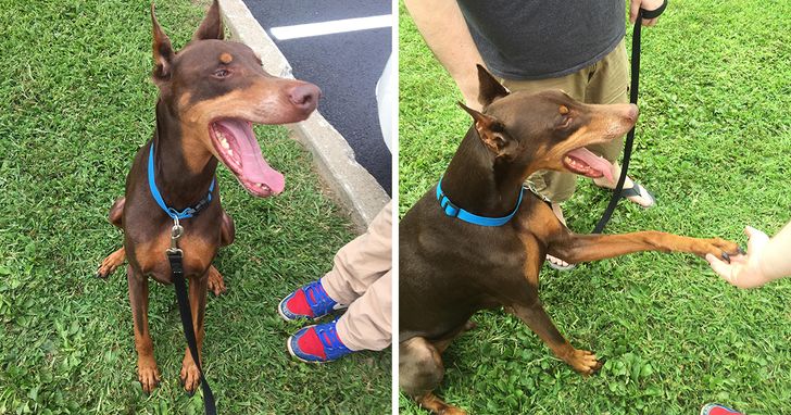 62a6dc560e9301971d8ed9184a