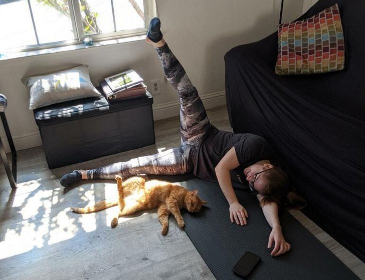 62abc8553a87319fbc7dfe8386