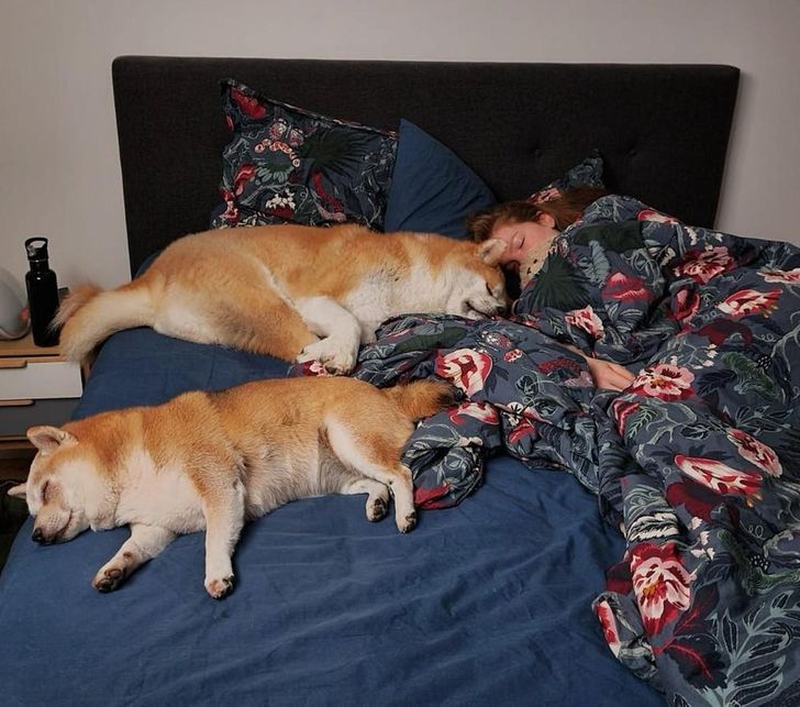 62b0305614975bb6c8db0d9803