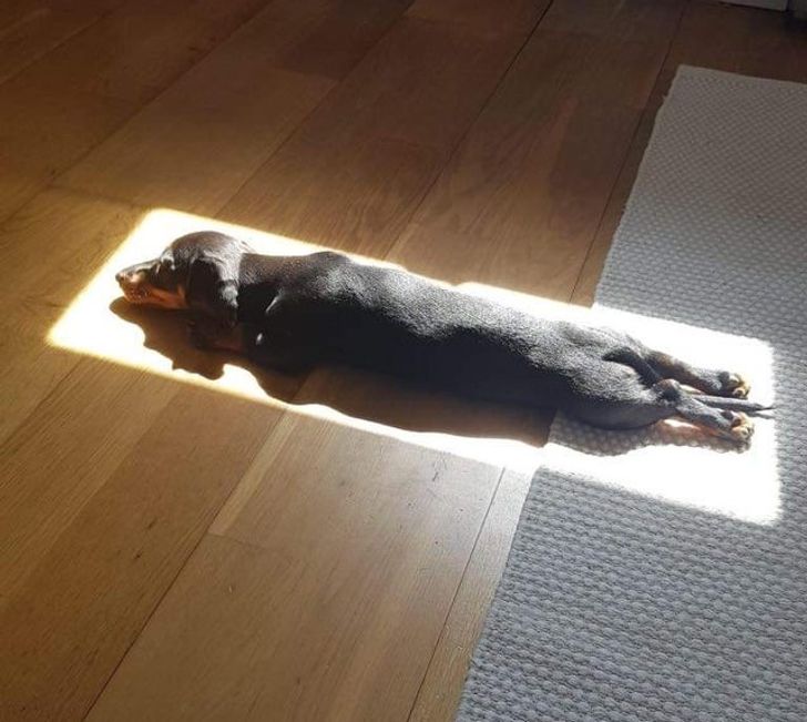 62bf1b574c8ca184b79b014368