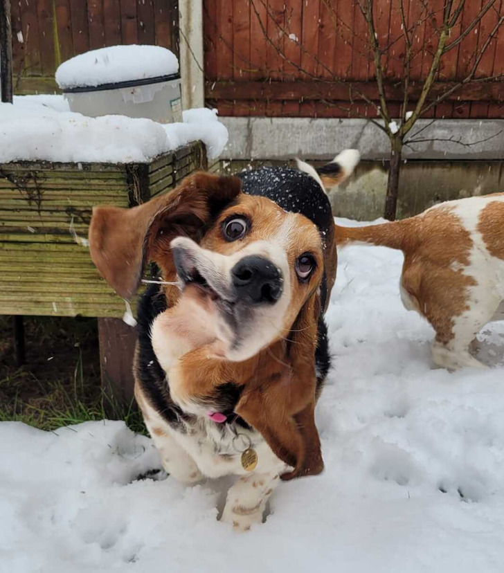 62c4df5a9d8cc7e3154977b30f 62c4df5a9d8cc7e3154977b30f