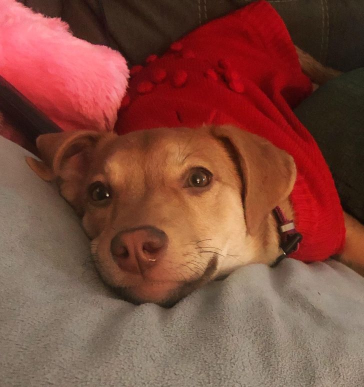 62c5d251e89368ac36b10c2304