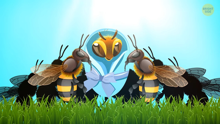 62c625502bb083c407a193e16f