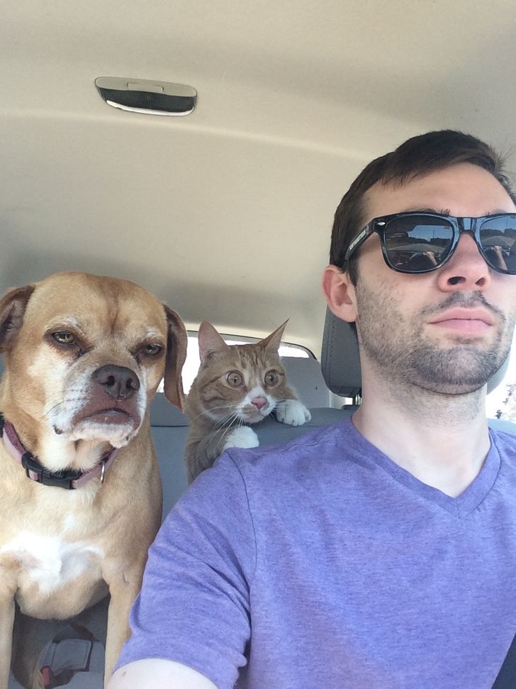 62cb305cd49eb6666e12c94603