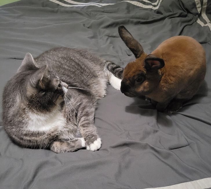 62d0ac5937a1795f1163e4ace0