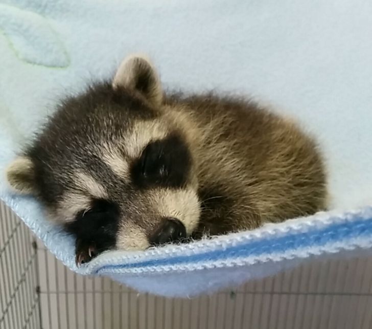 62d1c25337834d2b09e0d271d8