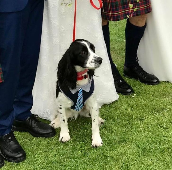 62d752539c8840bddc1ed9c5d0 62d752539c8840bddc1ed9c5d0