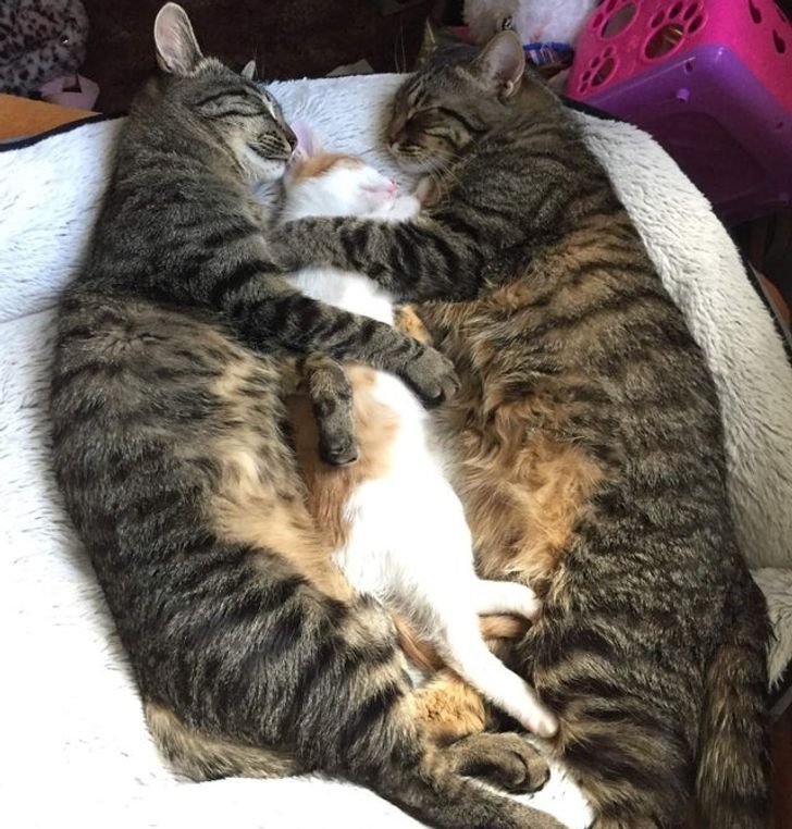 62df4451ca92090f60342e8f4e