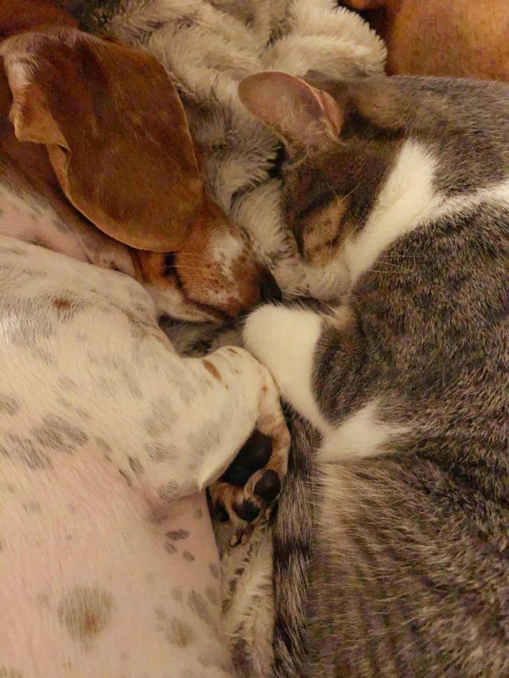 62ecbd553cadfe81b76f867598