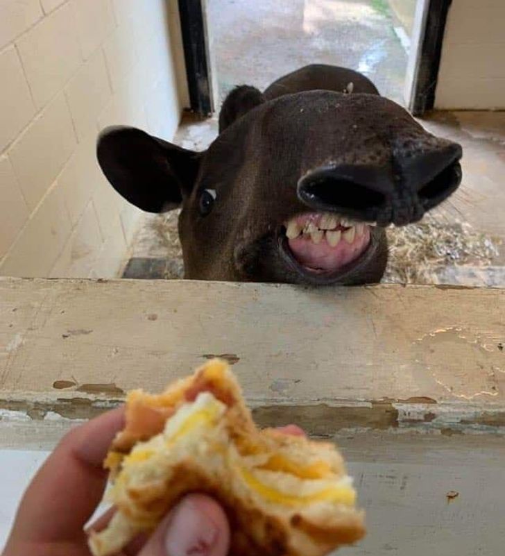 62f17e54ad83709bd00a273f8e