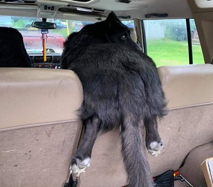 62f3115b5aaad763422e5a0d3c