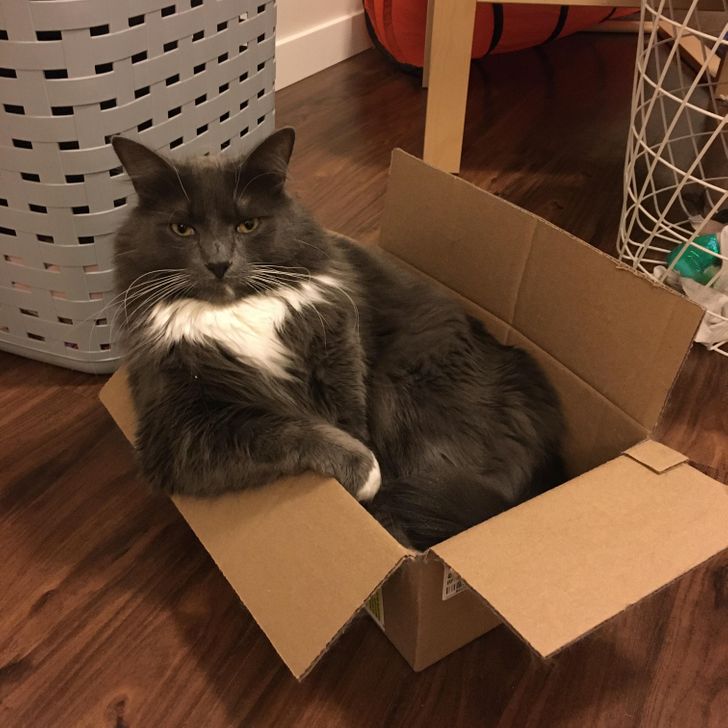 62f674563da57a611f4c7c387c