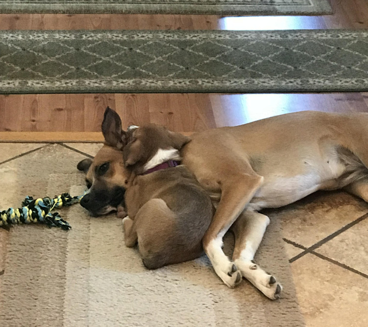 62ff7c56318553ace4ad98de07 62ff7c56318553ace4ad98de07