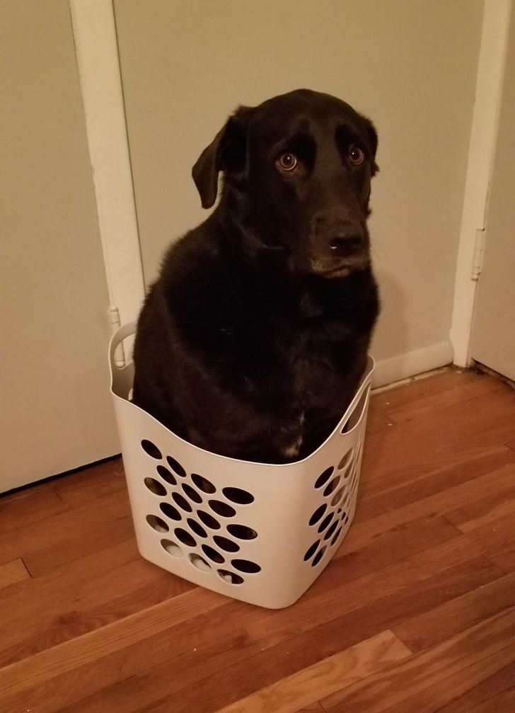 63087e52a986c94668359cae46 63087e52a986c94668359cae46