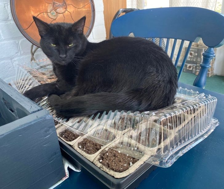 630a9450d6a6b3ee3fdb332a75