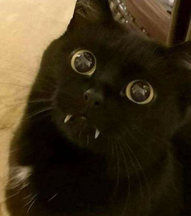 63167259fab47675a418f70801