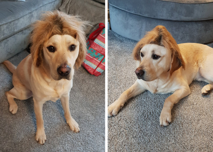 631d095e2ca44ab9d3655e983a