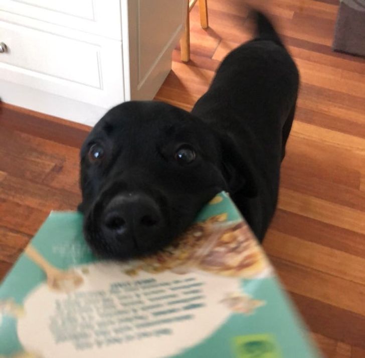 631f4f557fb7f5c23386d36faf