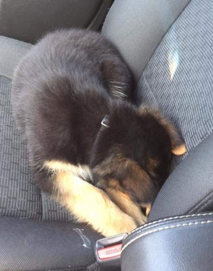 631fa354fbaa07aac449855d0d