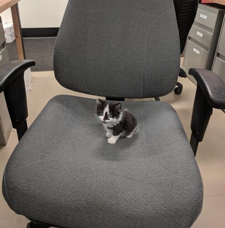 63247f5210b1572b808d242eaf 63247f5210b1572b808d242eaf