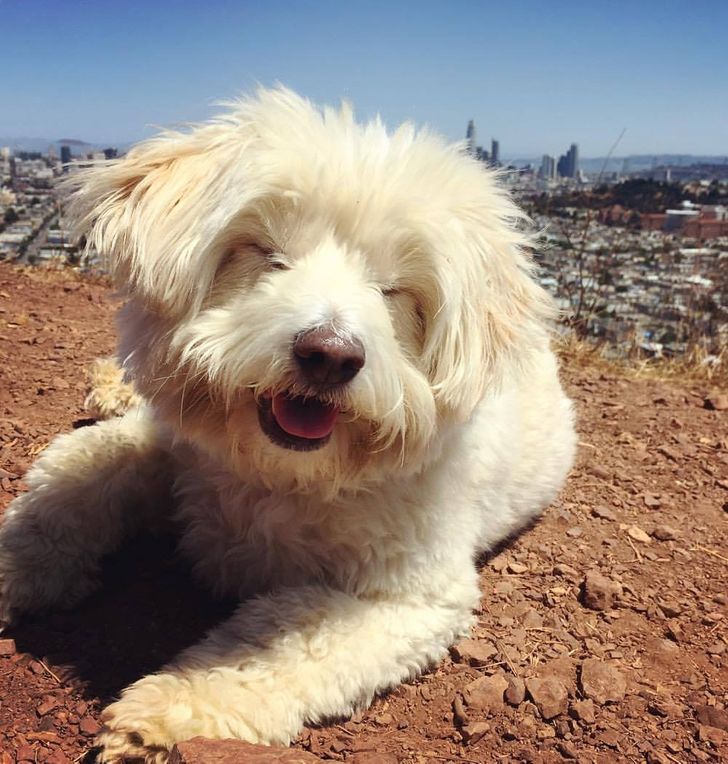 632ab957cc83c2e831ee100d52