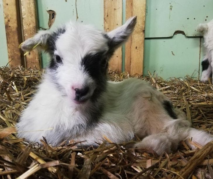 6339325cf3bc68b3fa5c4cc288