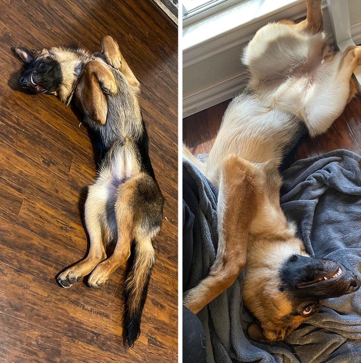 633a155719b0317b975e93c861 633a155719b0317b975e93c861