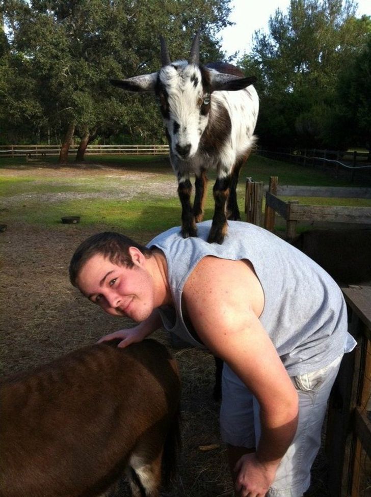 633c005811a018a279df8670cd