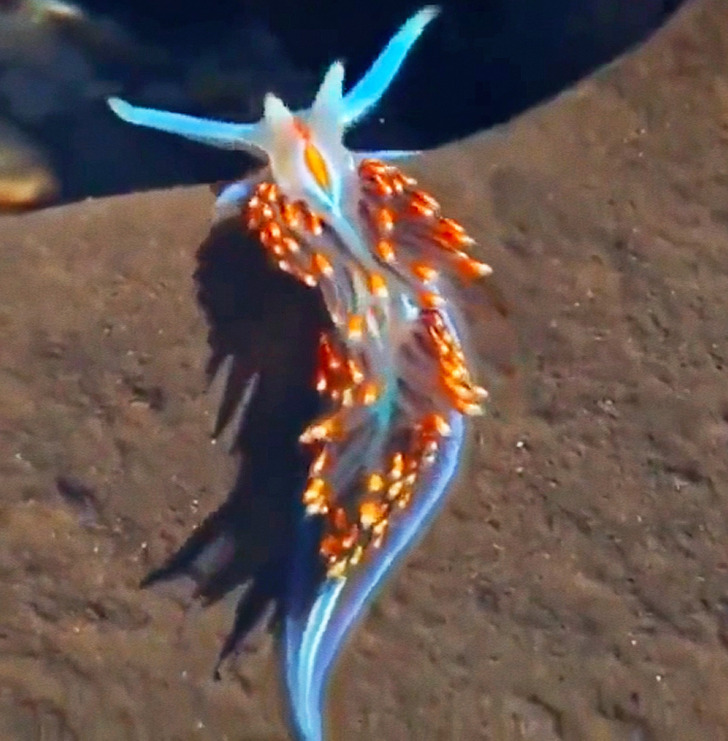 633df65457960e60fd0bb88f5e 633df65457960e60fd0bb88f5e