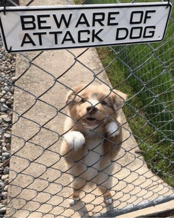 63441e50e8bc5e010356dd6bea