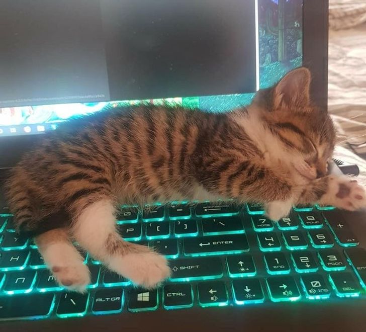 63468c50959527394662daa519