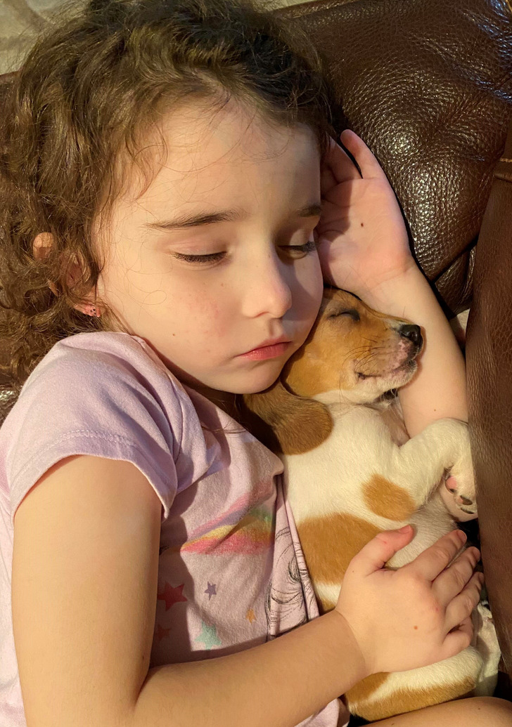 6347965ffd8d4d576163d4413c 6347965ffd8d4d576163d4413c