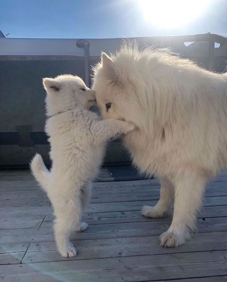 6356495882893192dd7c57621b