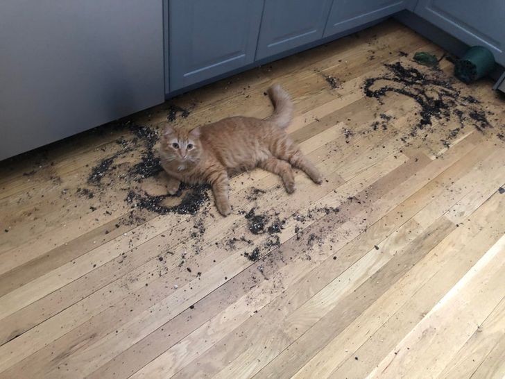 63568d5f42a928e7e299f98c44