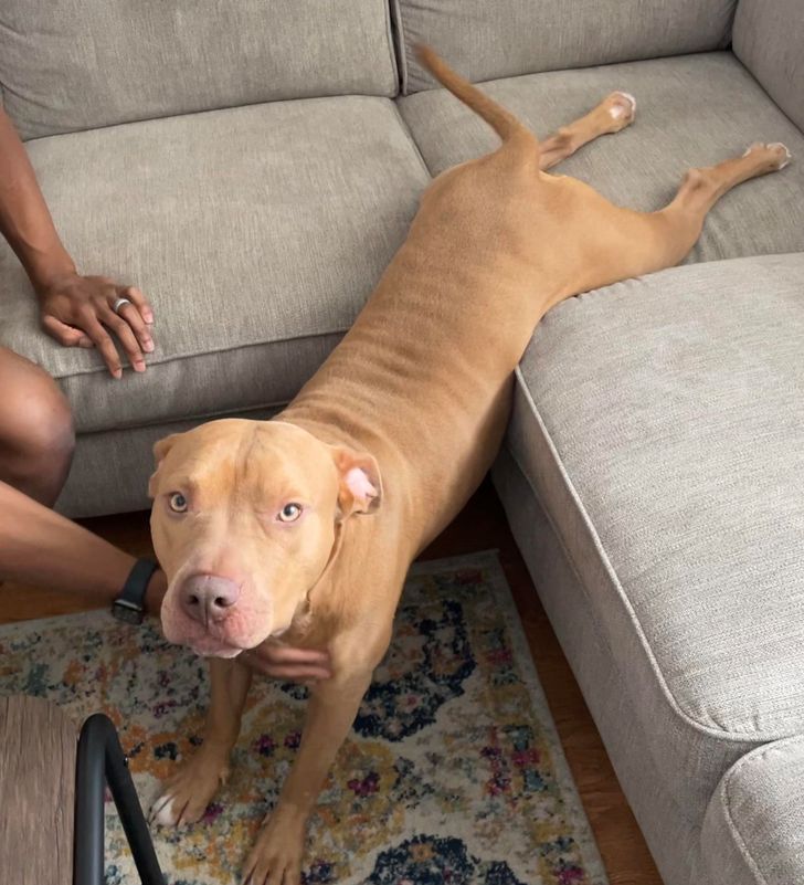 6356ec5238a4e3c416dd496abb