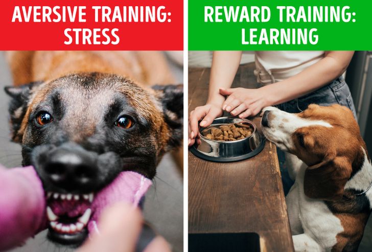 635e0a5738b6581532fcb6afbc