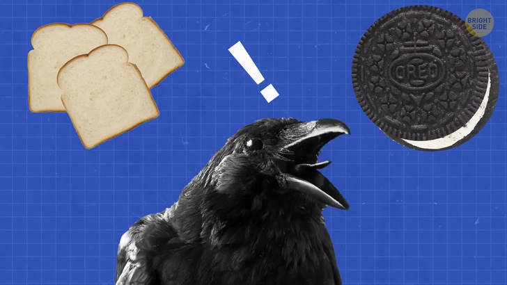 6364ed5a298edc1f10501a00ea