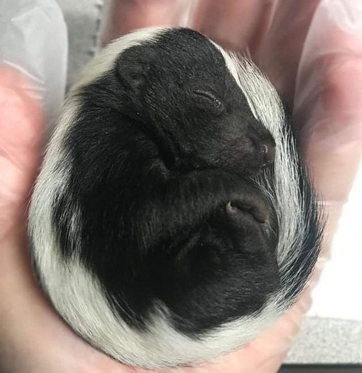 6366135e4fac4ce1e30f8cccca