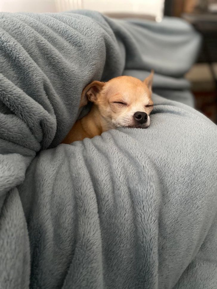 636a785033babd3fcc43063038