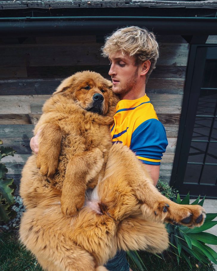 636ce65beabd6306e0a3564df8