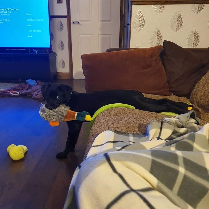 6374605aab896dc5bf112fae44