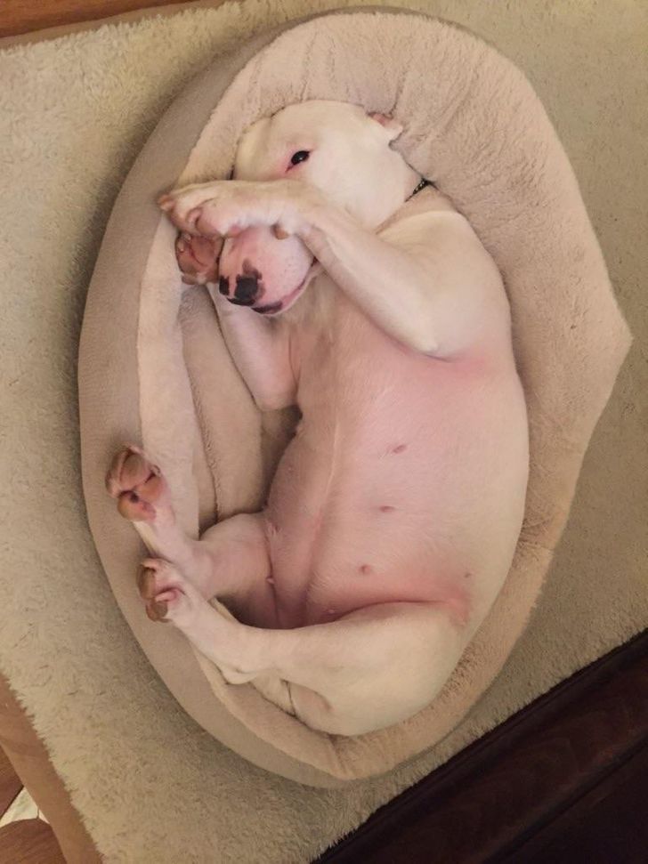 6374a5567390a8fa99107a1b81