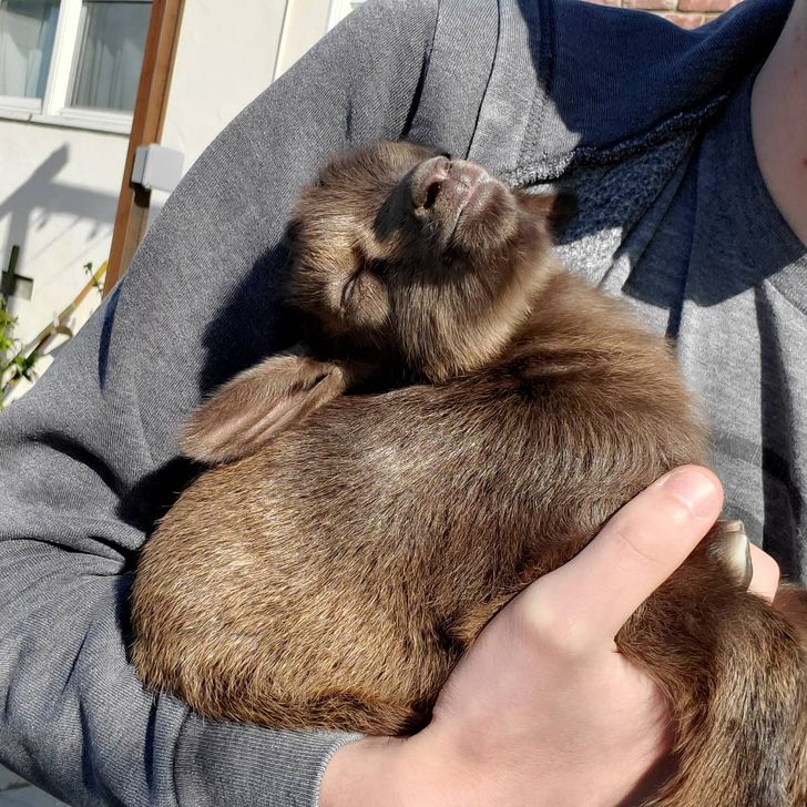 6376b35f80874814edda43f3f1