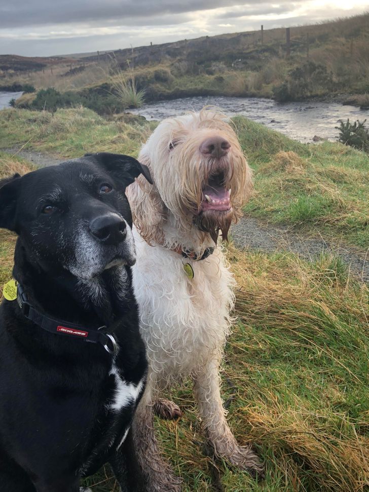 63782452818231bb0ba9c825fb