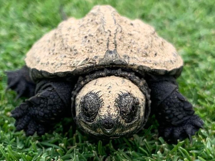 6379d25f0386df34b967188f62