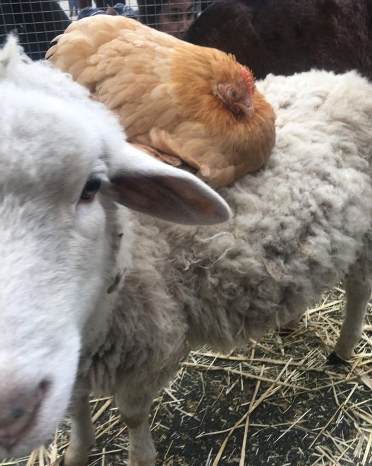 637c265585a7e66006f45f8d2b