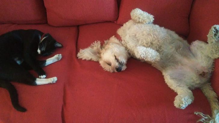 6382245a37b8ca8813493479a5