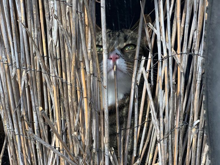 6384a353818e450d5fb6aa2386