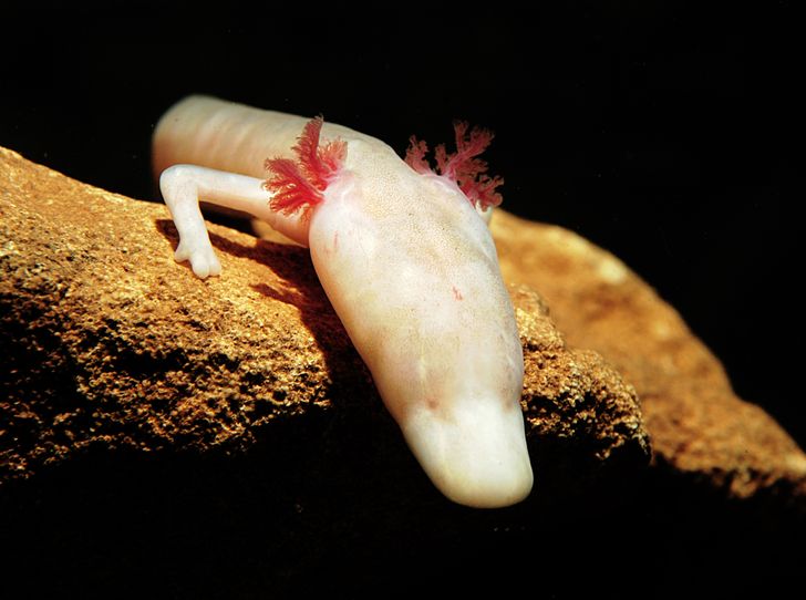 6387a2511eb9f5f154c304070b